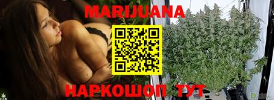 крисы Заводоуковск