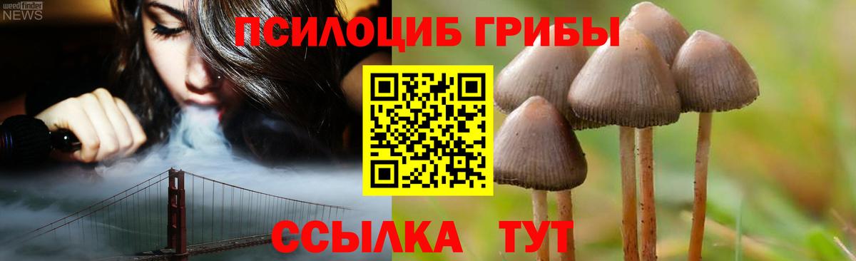 Галлюциногенные грибы Psilocybine cubensis Люберцы